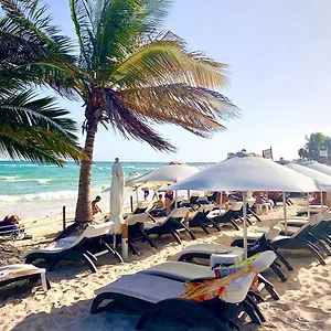 Silversands Boutique - 5th Ave 5*, Playa del Carmen Mexico